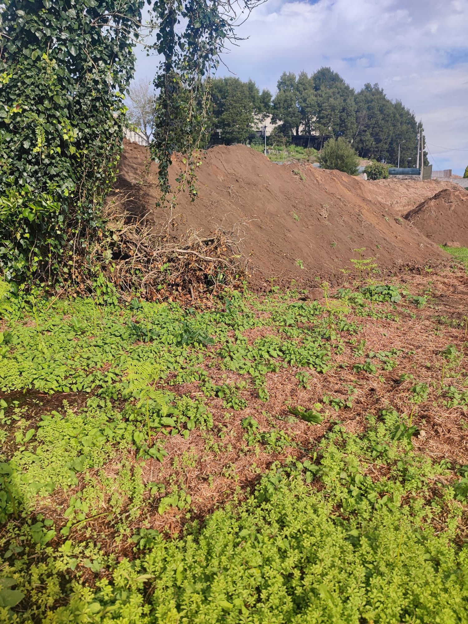 Vendo terra (preta)