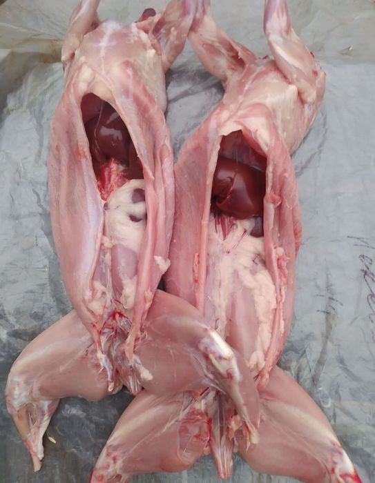 Є м'ясо кролика , м'ясо кролика