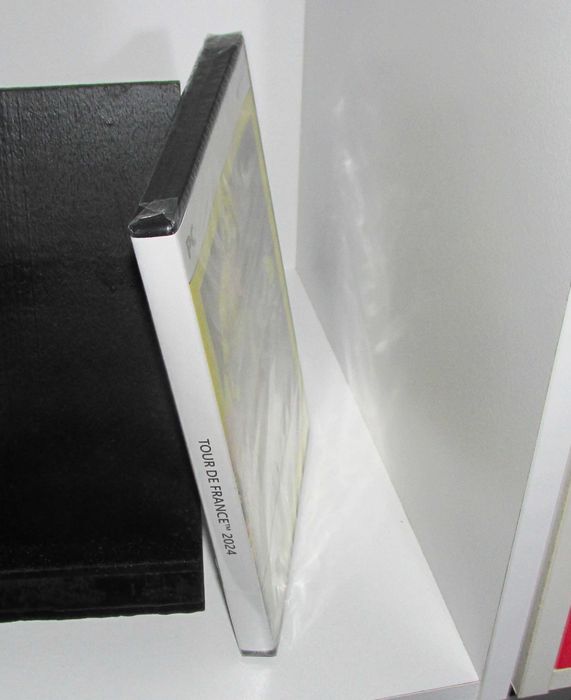 Tour De France 2024 PC Game