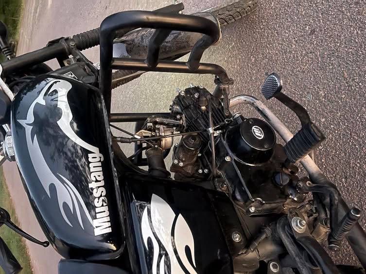 Альфа мустанг 110 куб