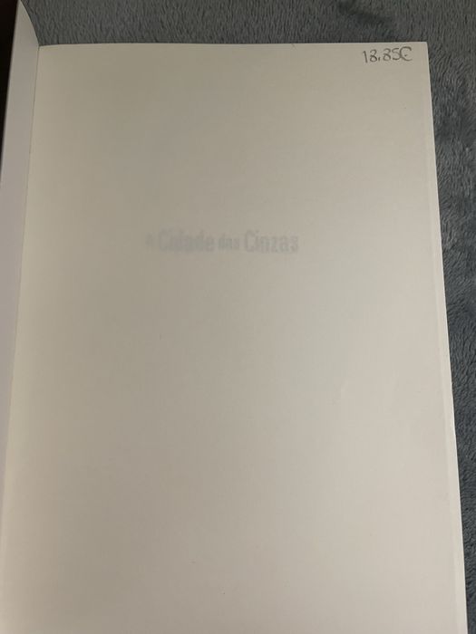 Livro a cidade das cinzas