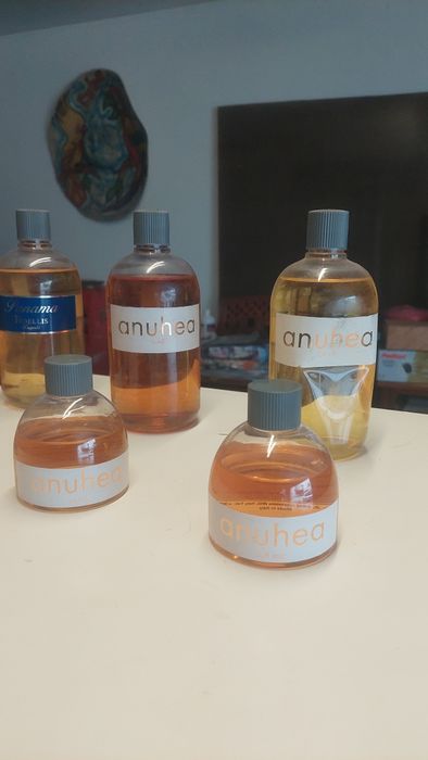 Lote de Perfumes e Colónias Profissionais – Anuheá & Panama Boellis