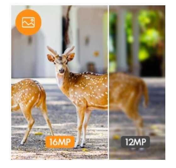 Fotopułapka kamera leśna noktowizyjna APEMAN H40 16MP Night Vision