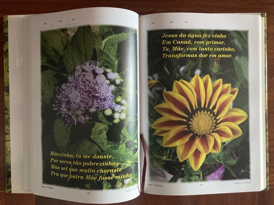 Poesia de Eurico Augusto cebolo