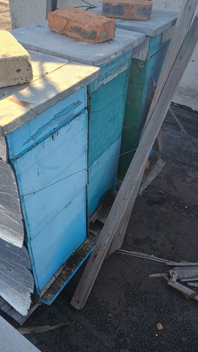 Продам вулики з липи