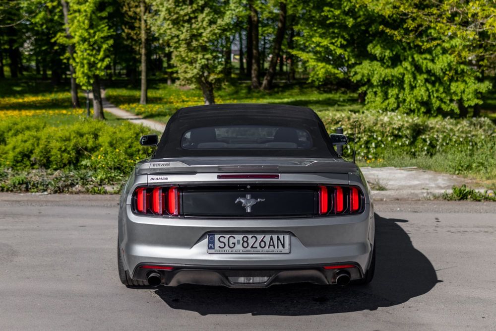 Wynajem aut wypożyczalnia Mustang 3.7 V6 cabrio PROMOCJA 30dni 4990!