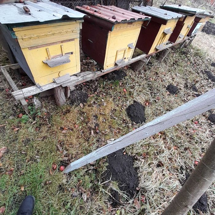 Продаються вулики лежаки в доброму стані