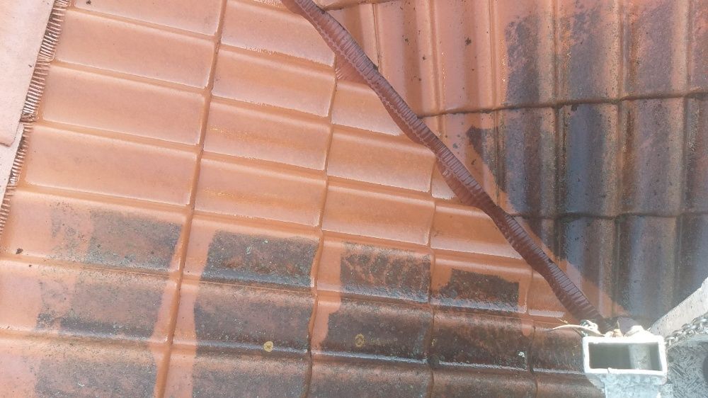 Mycie, malowanie dachów, elewacji, kostki brukowej, prace wysokościowe