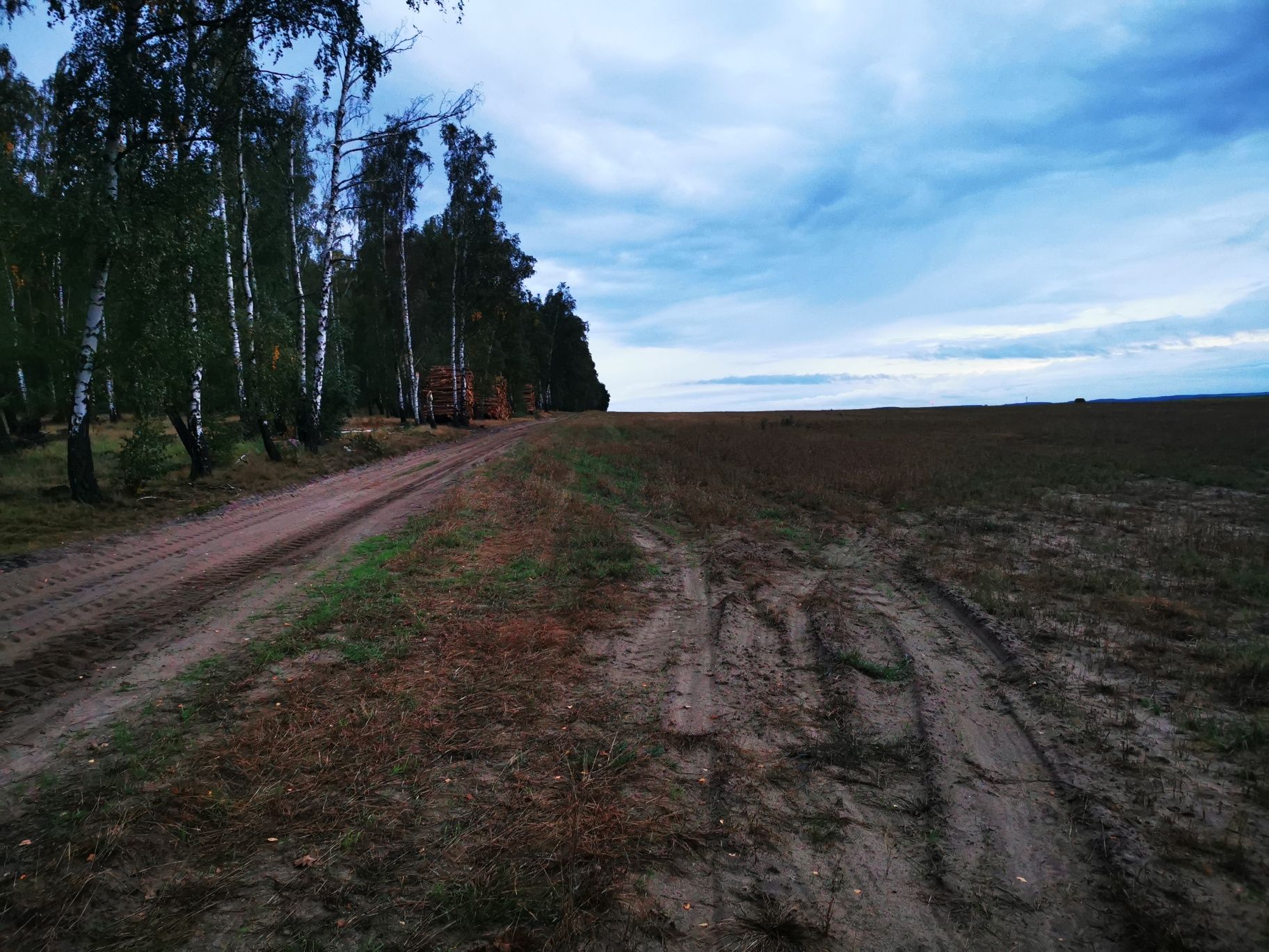 Sprzedam ziemię 3.0h droga główna wronki sierakow