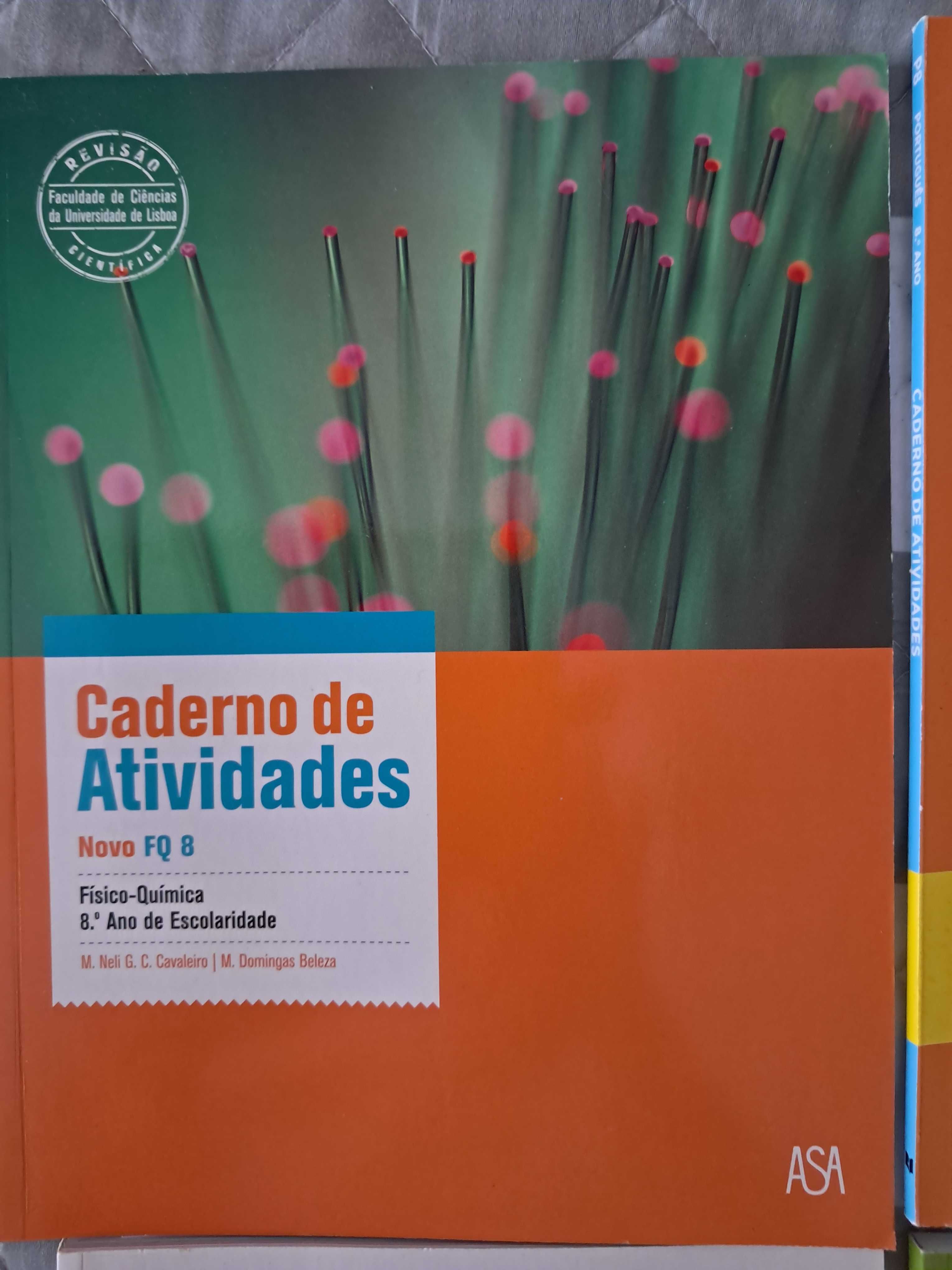 Cadernos de atividades do 8°ano.