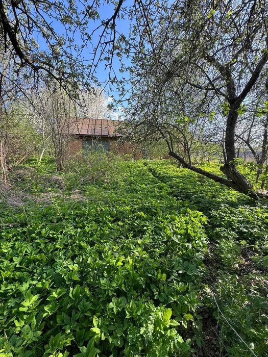 Будинок Бахматівці на ділянці 29 соток