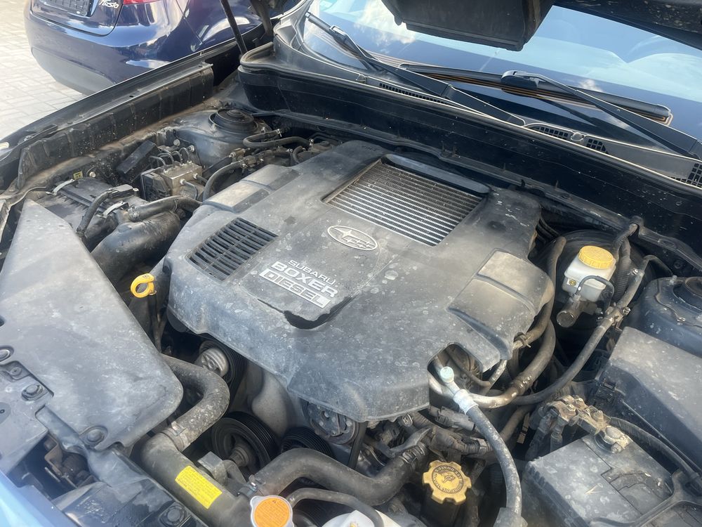 Subaru forester 4+4