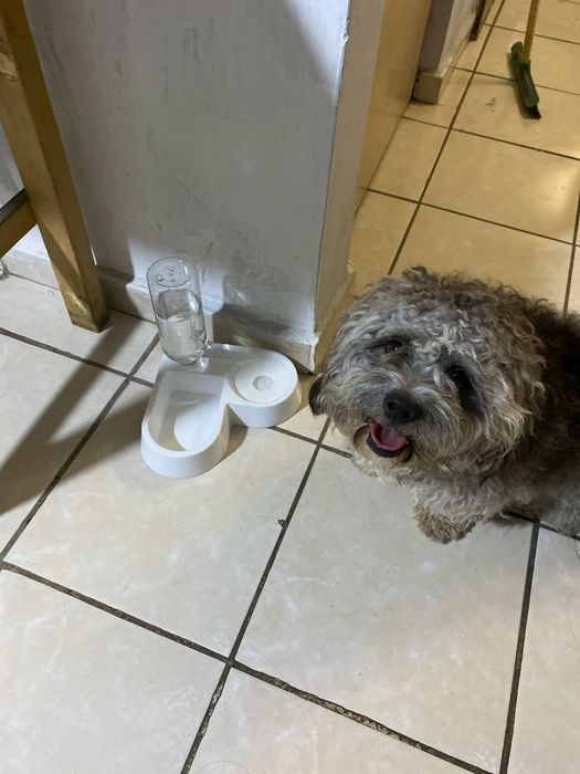 Миска+поїлка для тварин