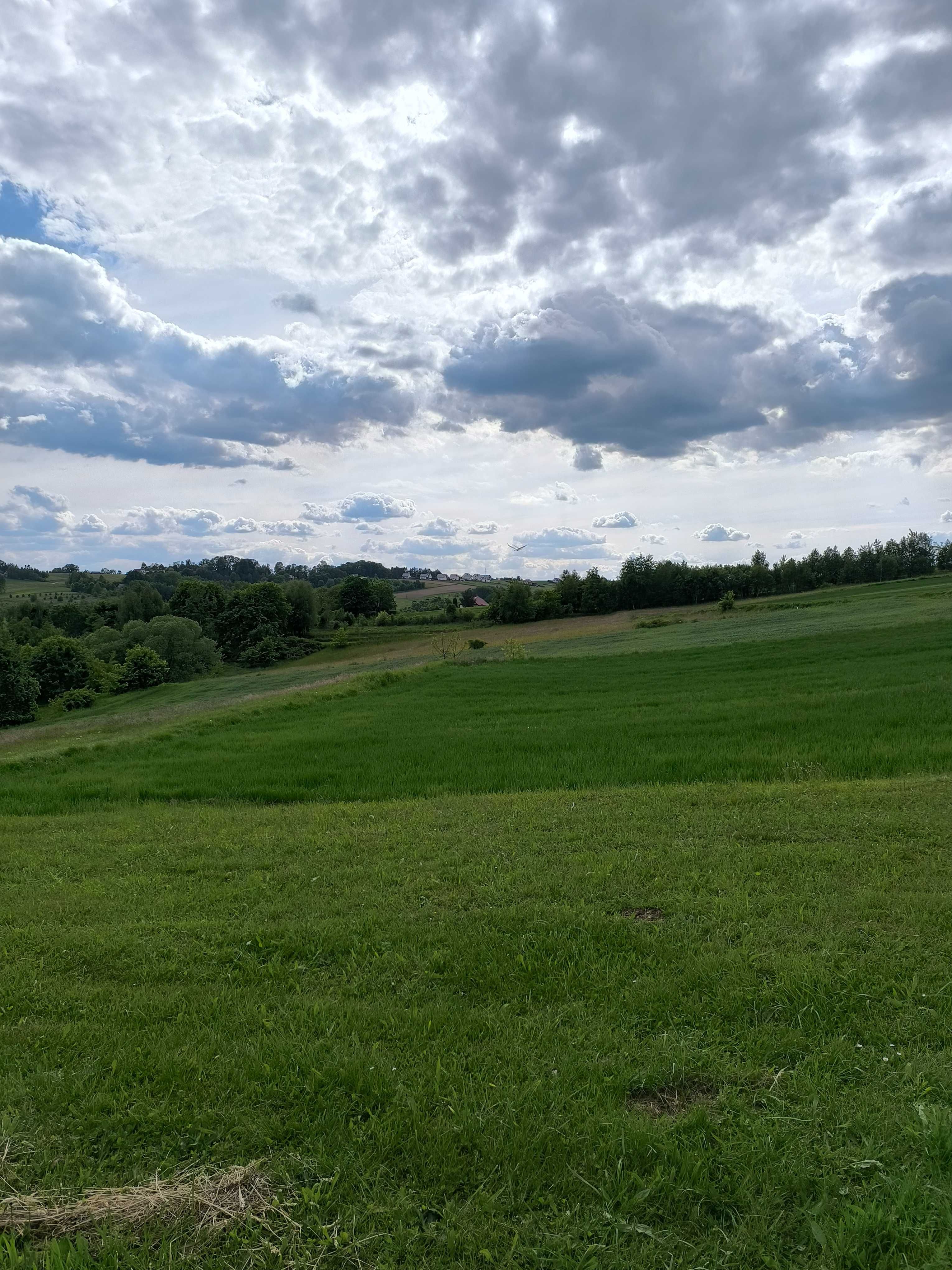 Owies na worki dla zwierząt