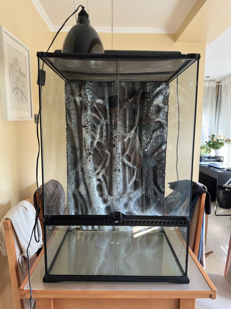 Terrario X-Tall Exo terra 60x45x90