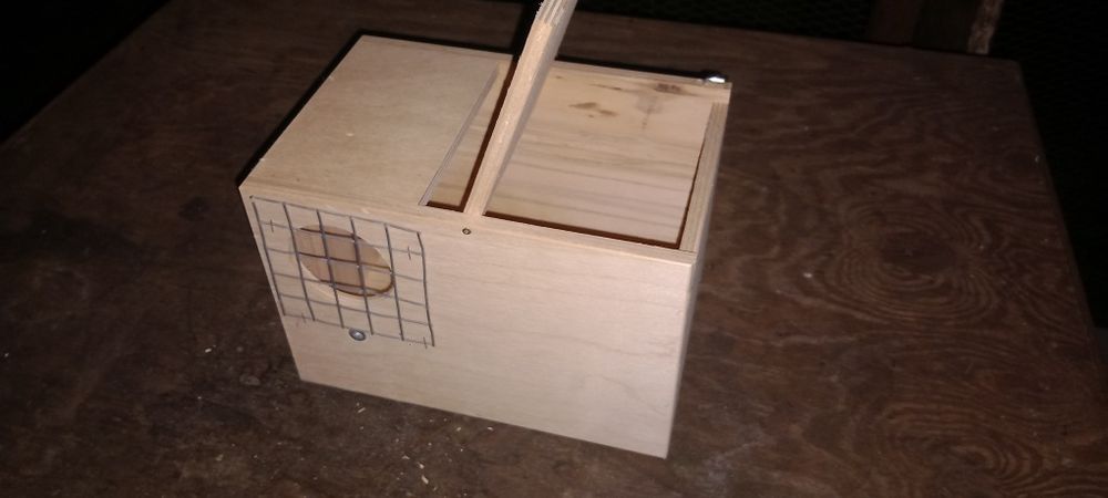 Ninho transportadora