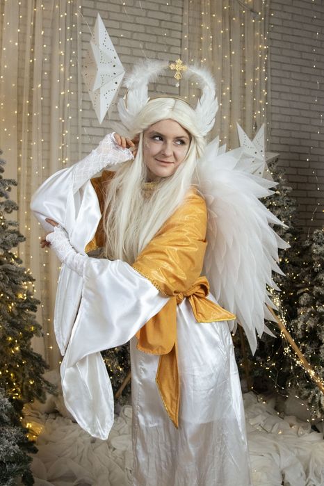 Санта Клаус/Дід мороз/Святий Миколай/Аніматори/Дед мороз/Санта Клаус