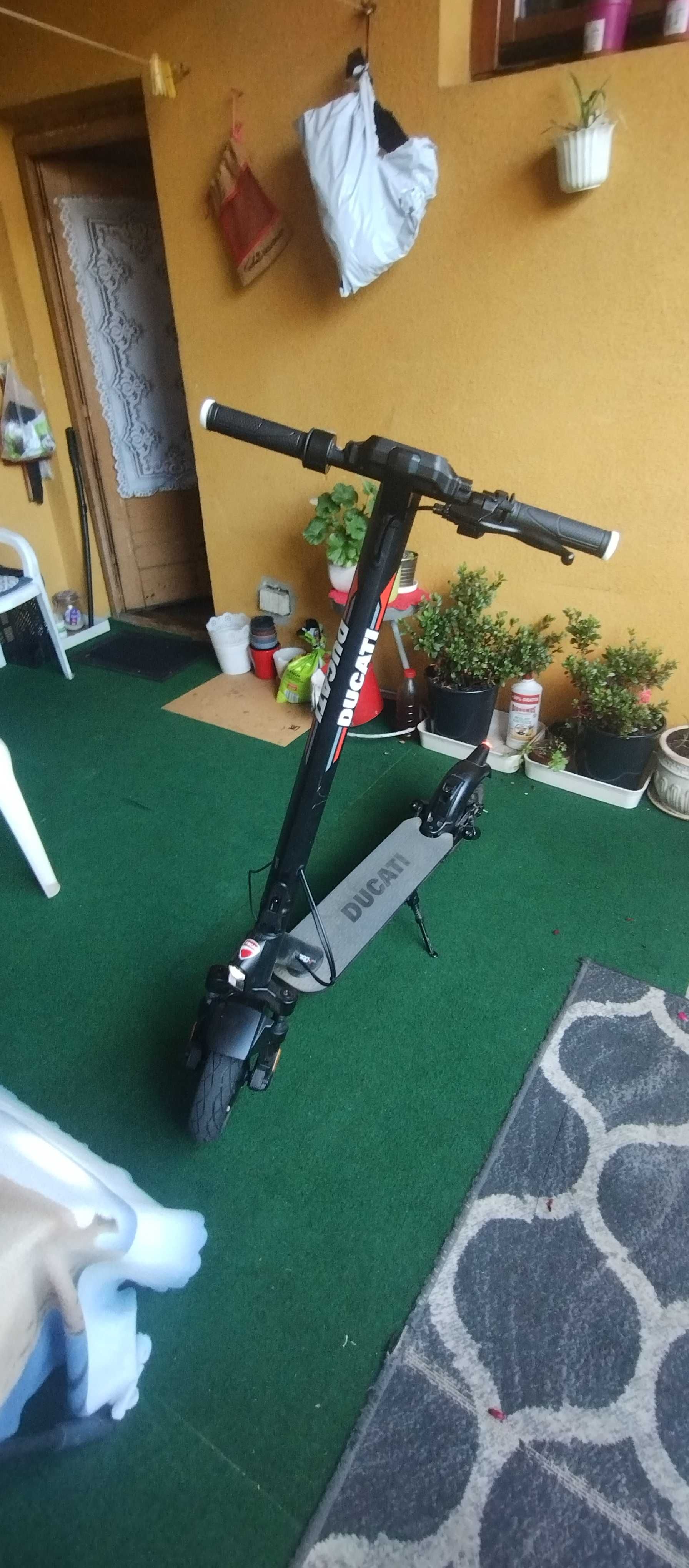 Ducati pro 2 evo