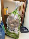 Batatas caseiras