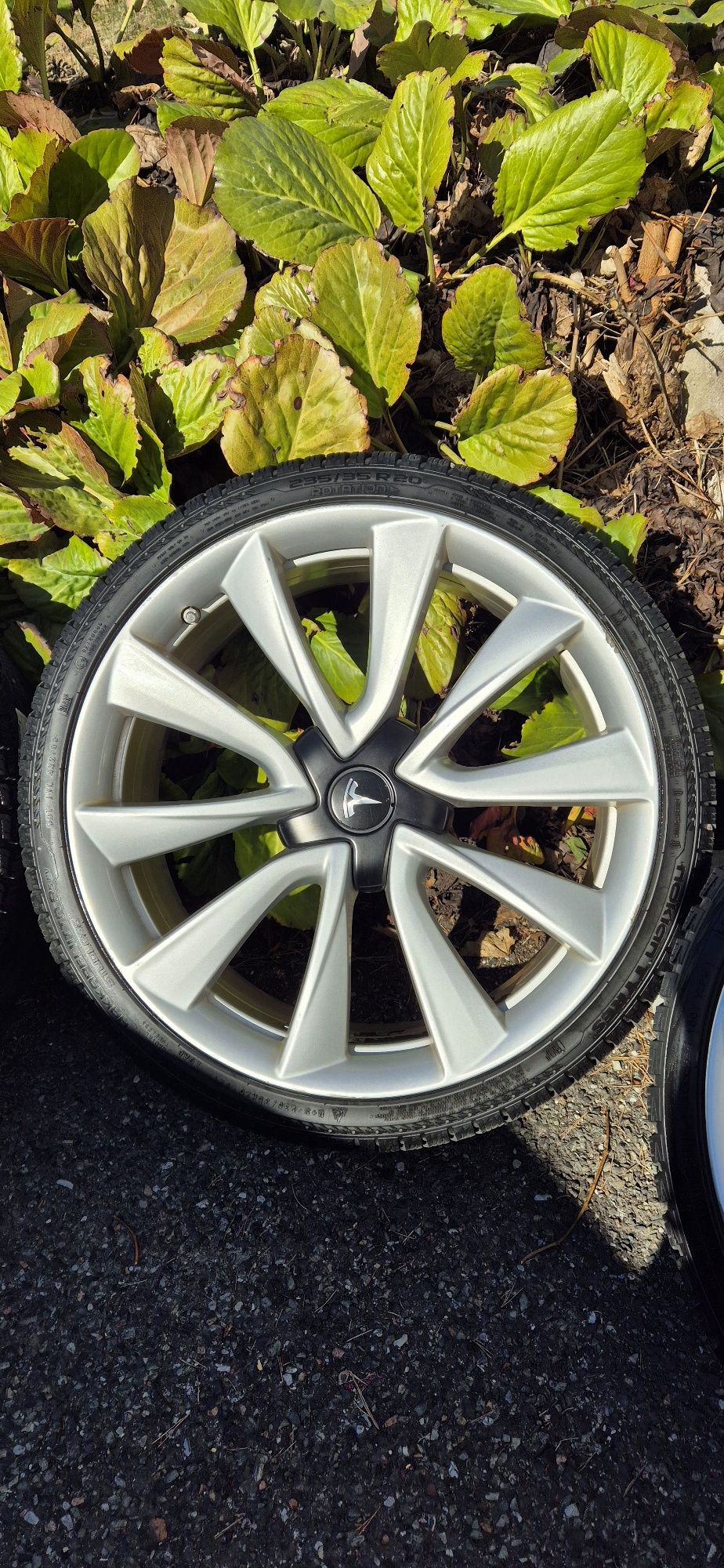 Koła Testa model 3 20"cali Performance