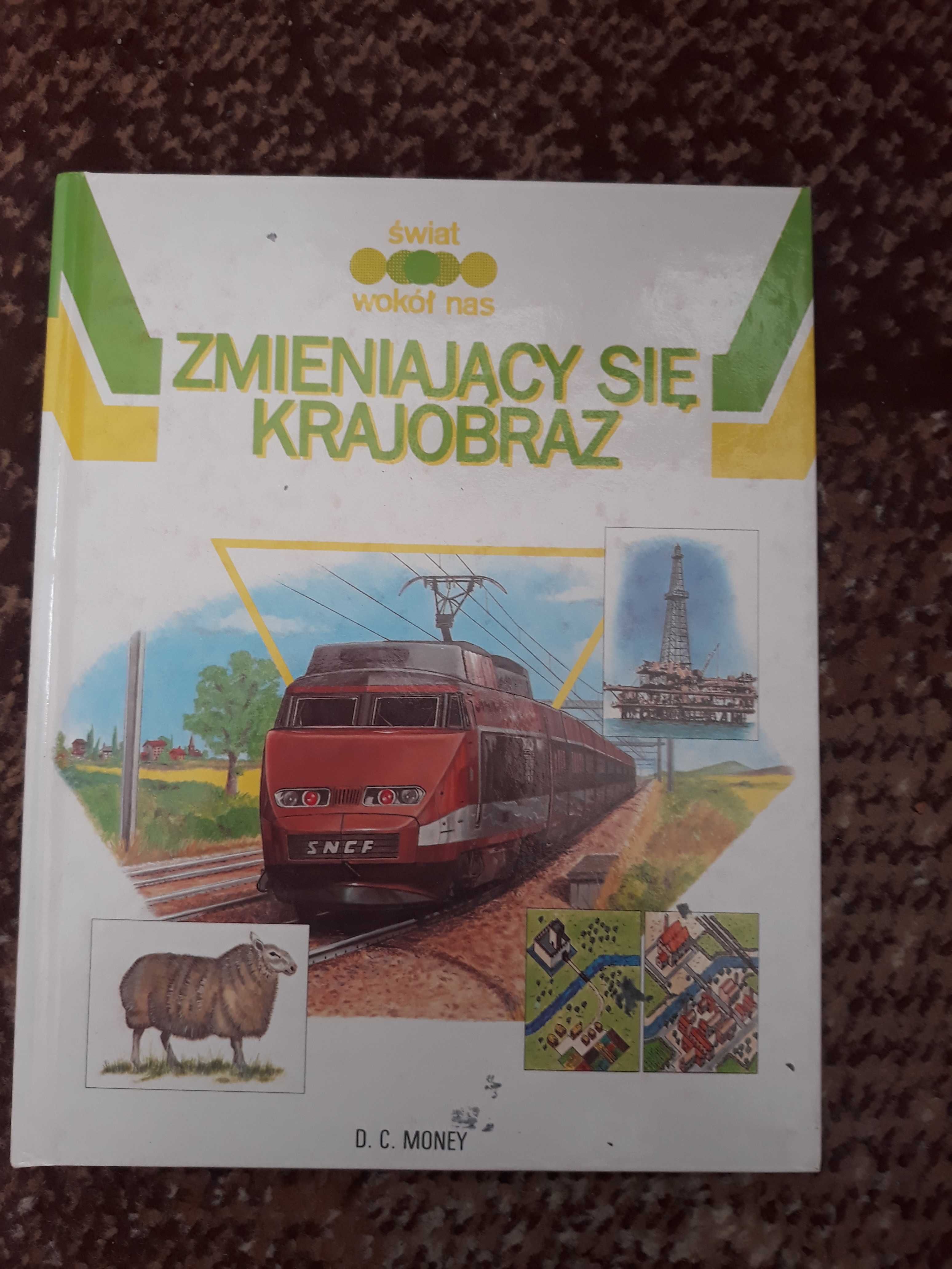 Zmieniający Się Krajobraz - D.C. Money