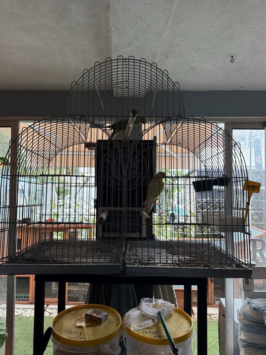 Gaiolas passaros ideal Para criacao