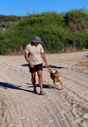 Happy Paws - Passeios fiáveis e seguros em Almada e Lisbon