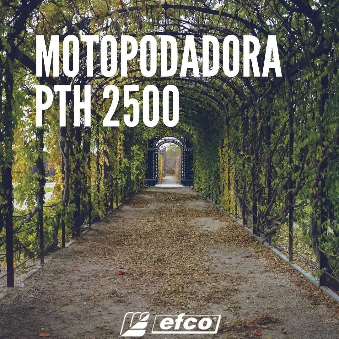 Motosserra - Podadora  Efco PTH 2500