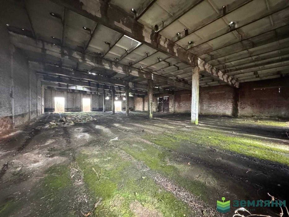 Продається виробничо-складське приміщення в с.Братківці (6)