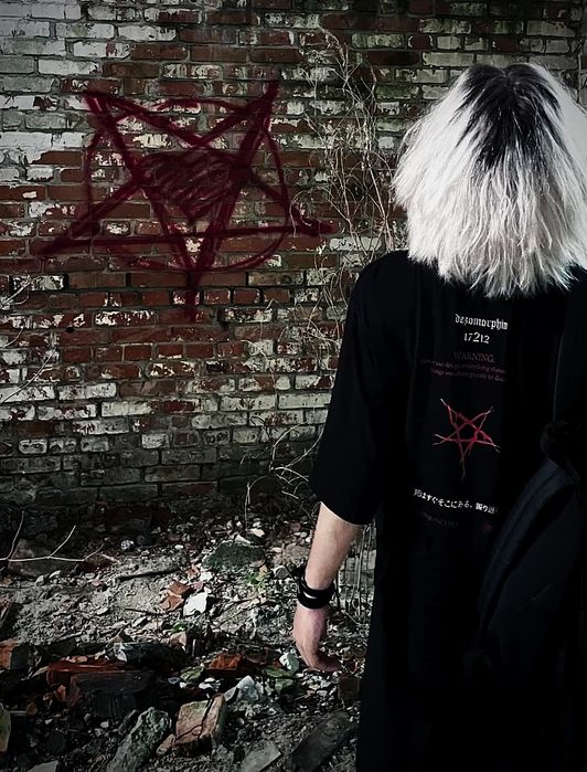 СРОЧНО!!! XL тишка от apathydxdxdx dezo