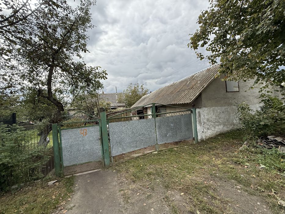 Будинок в Полонному