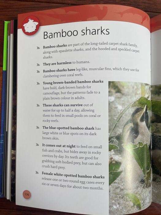 Encyclopedia of sharks