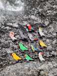 Przypinki papugi do Crocs jibbitz piny ozdoby buttony charms