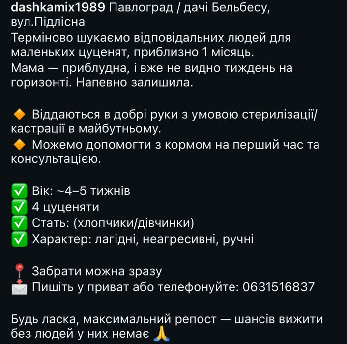 Цуценята 1,5 міс вижила біла та кремово коричнева