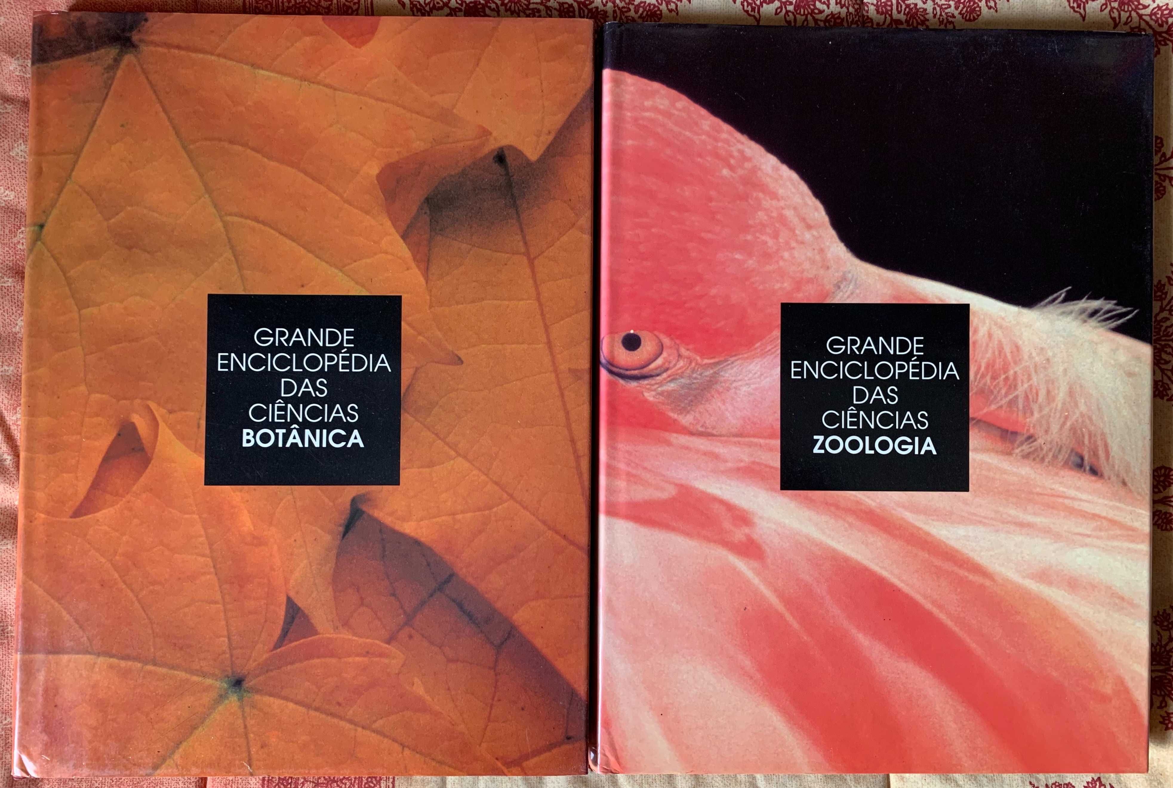 9 Volumes Grande Enciclopédia das Ciências