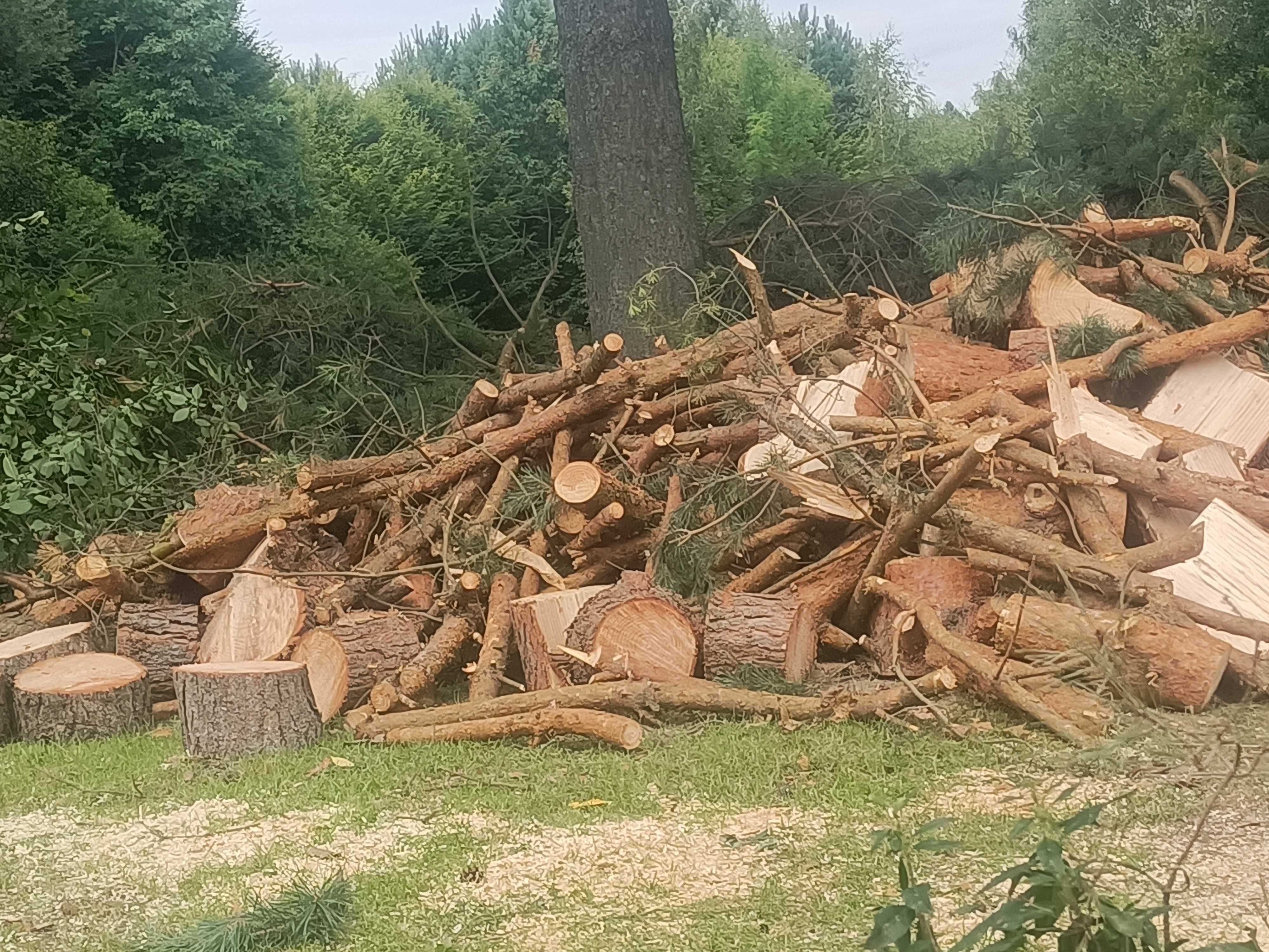 Oddam za darmo są posprzątanie
