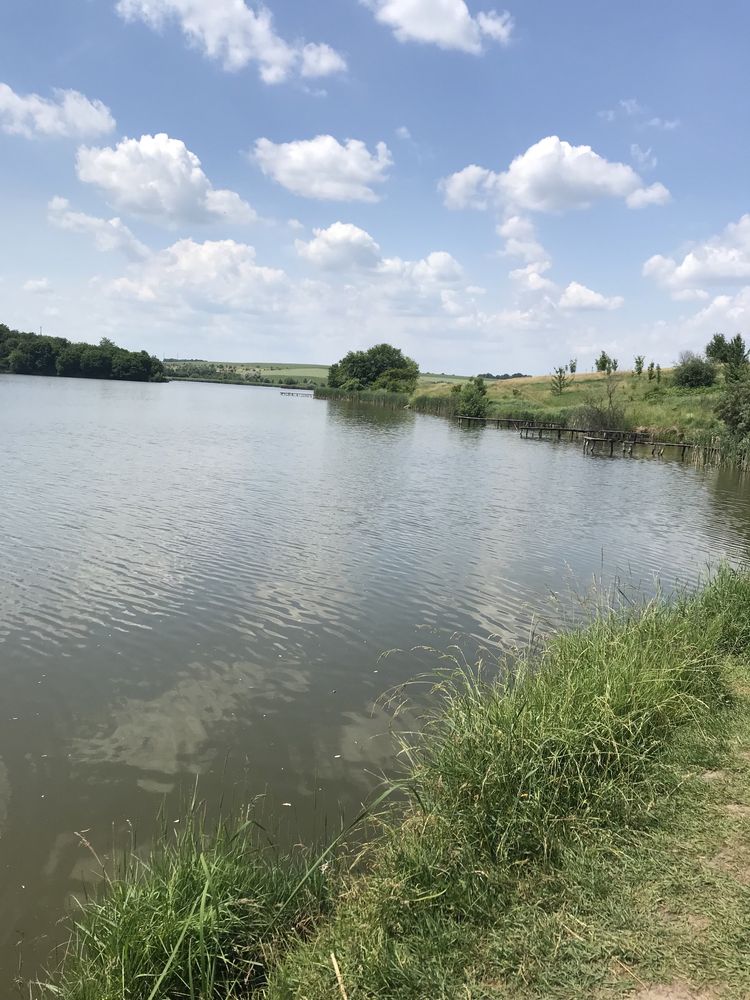 Земля в Кулібабі від власника