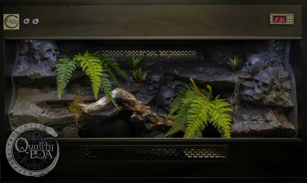 Terrarium dla węża 100x50x60