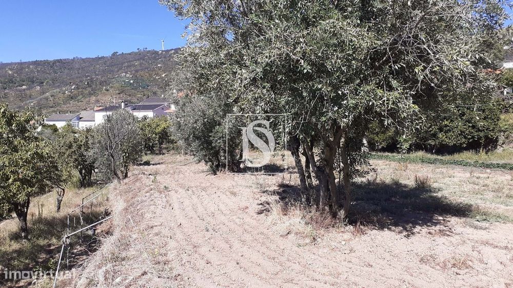 Terreno Urbano  C/1045 M2, Gonçalo