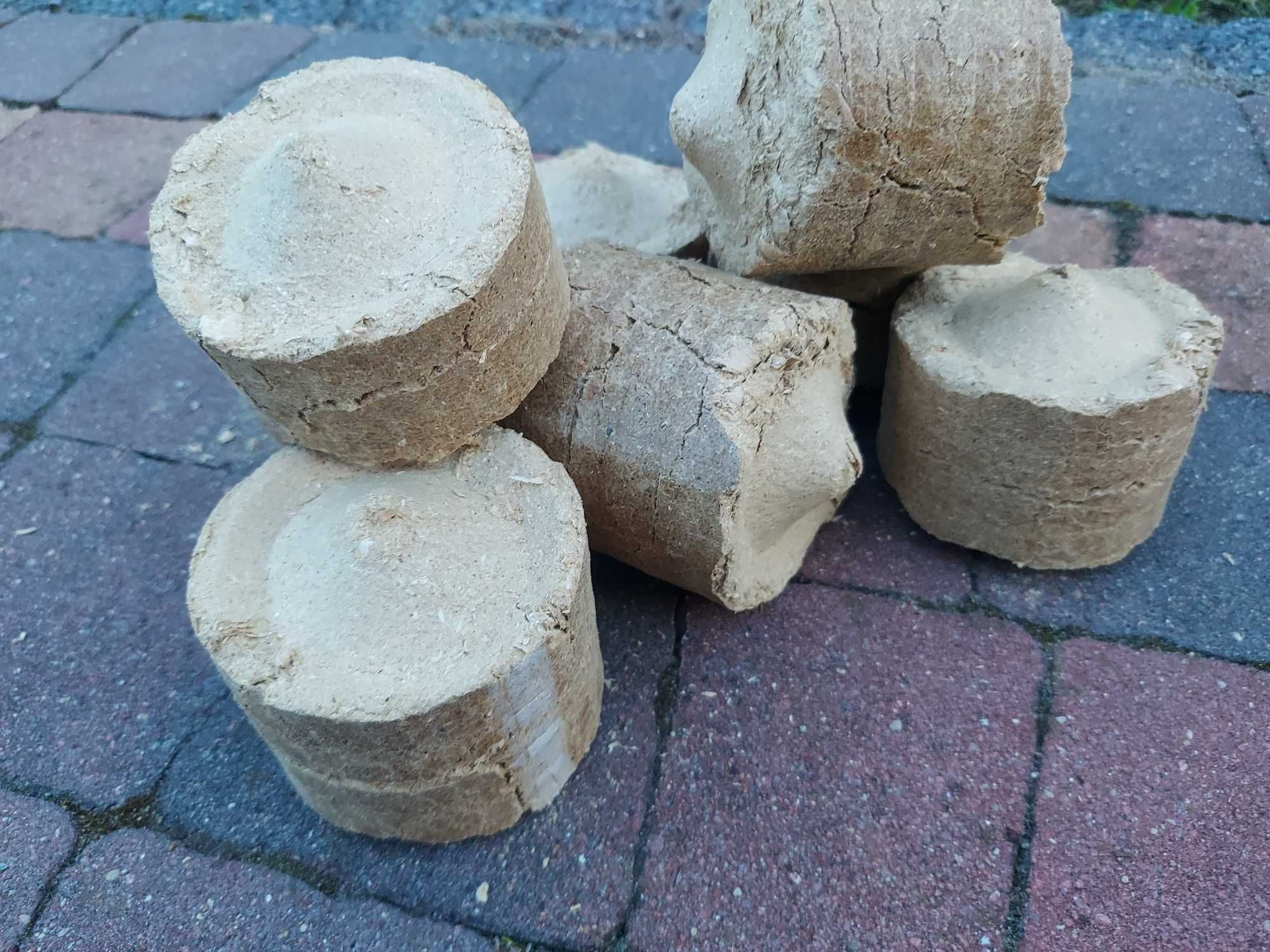 Brykiet drzewny na podajnik hurt/detal