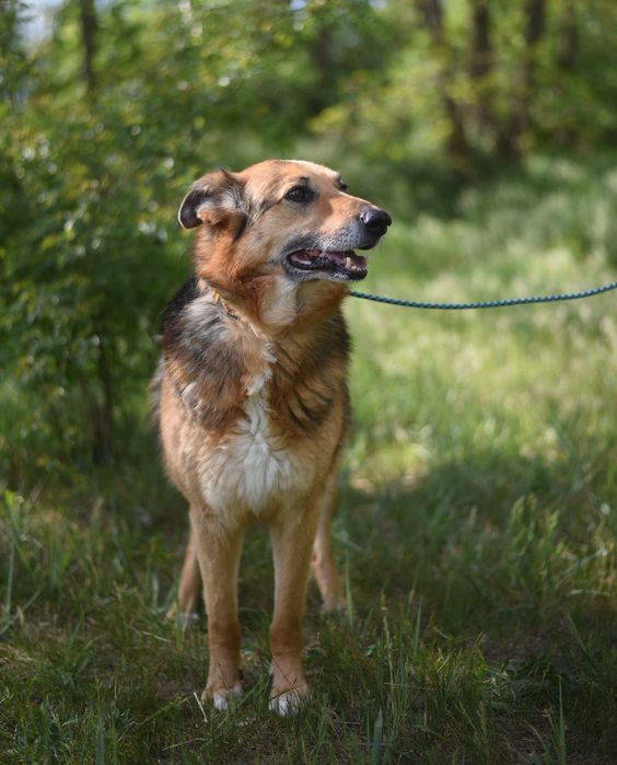 Sylwek czeka na wystrzałowego opiekuna