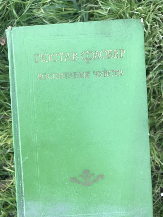 Гюстав Флобер. Воспитание чувств