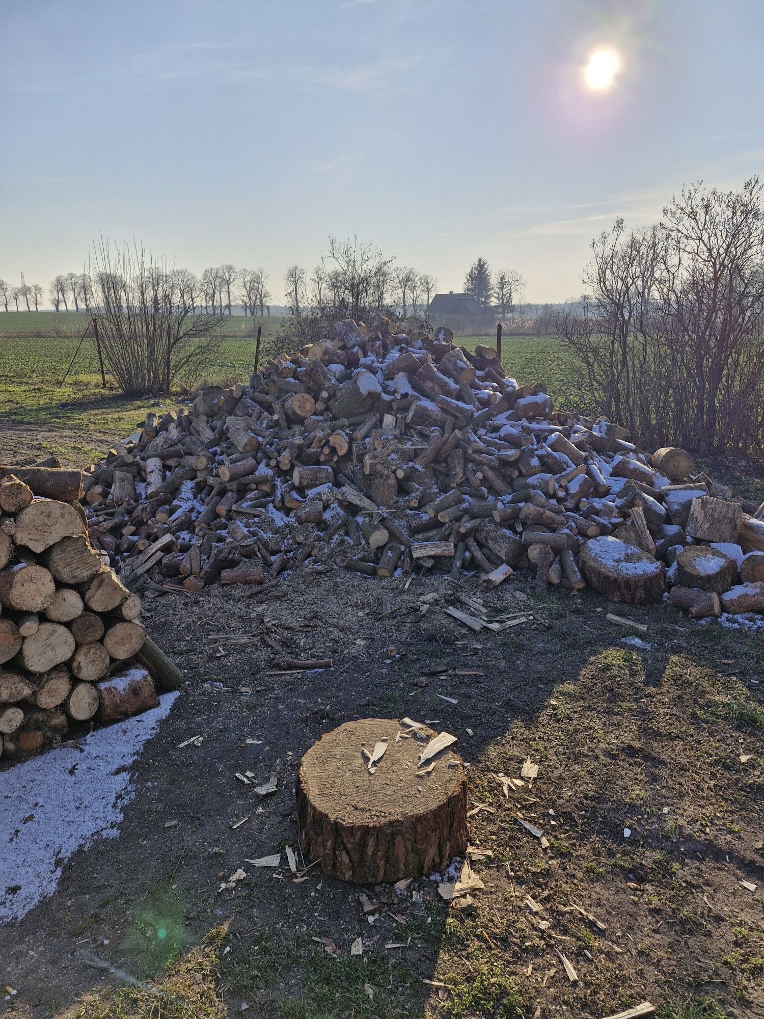 Drzewo mieszane opałowe