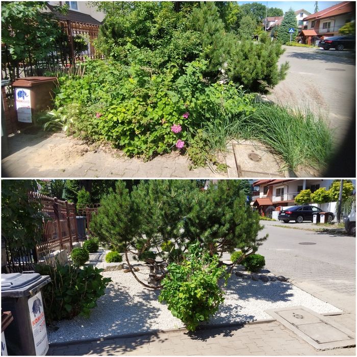 Porządkowanie ogrodów ROD Karczowanie Koszenie Wycinka Sianie Wywóz