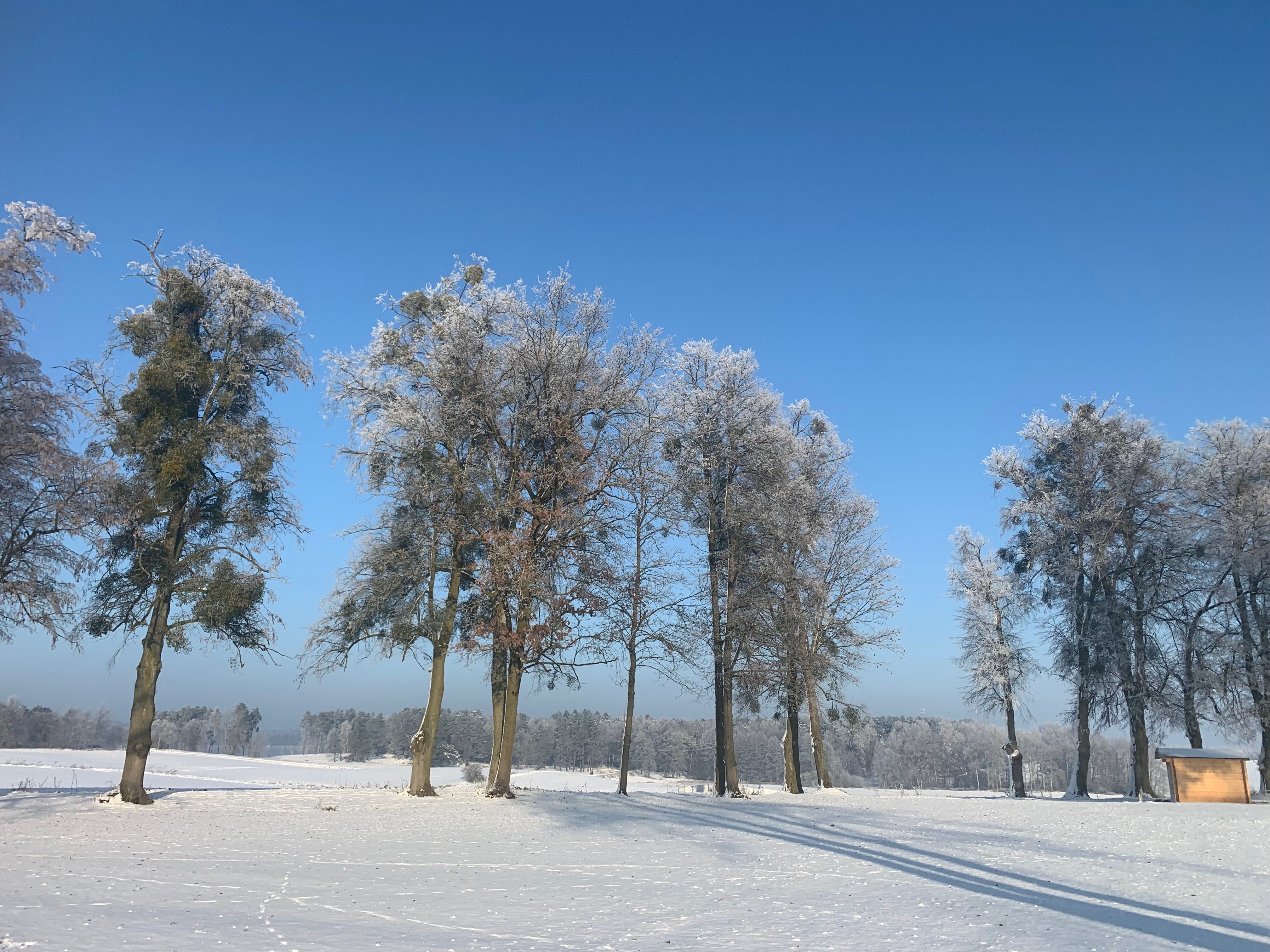 Działka budowlana Kwiry/ Jeziorak