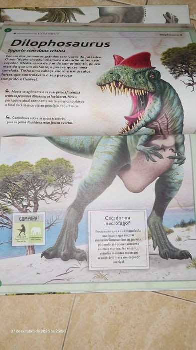 O magnífico livro dos dinossauros