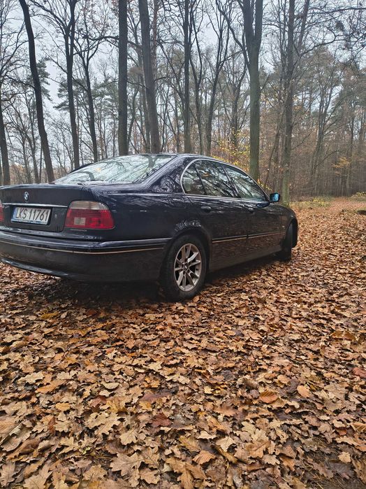 BMW e39 2.0 D 136 koni 2003 r . Możliwa zamiana na busa.