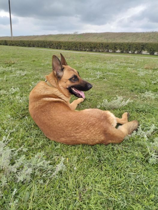 Шукаємо дівчинку для хлопчика