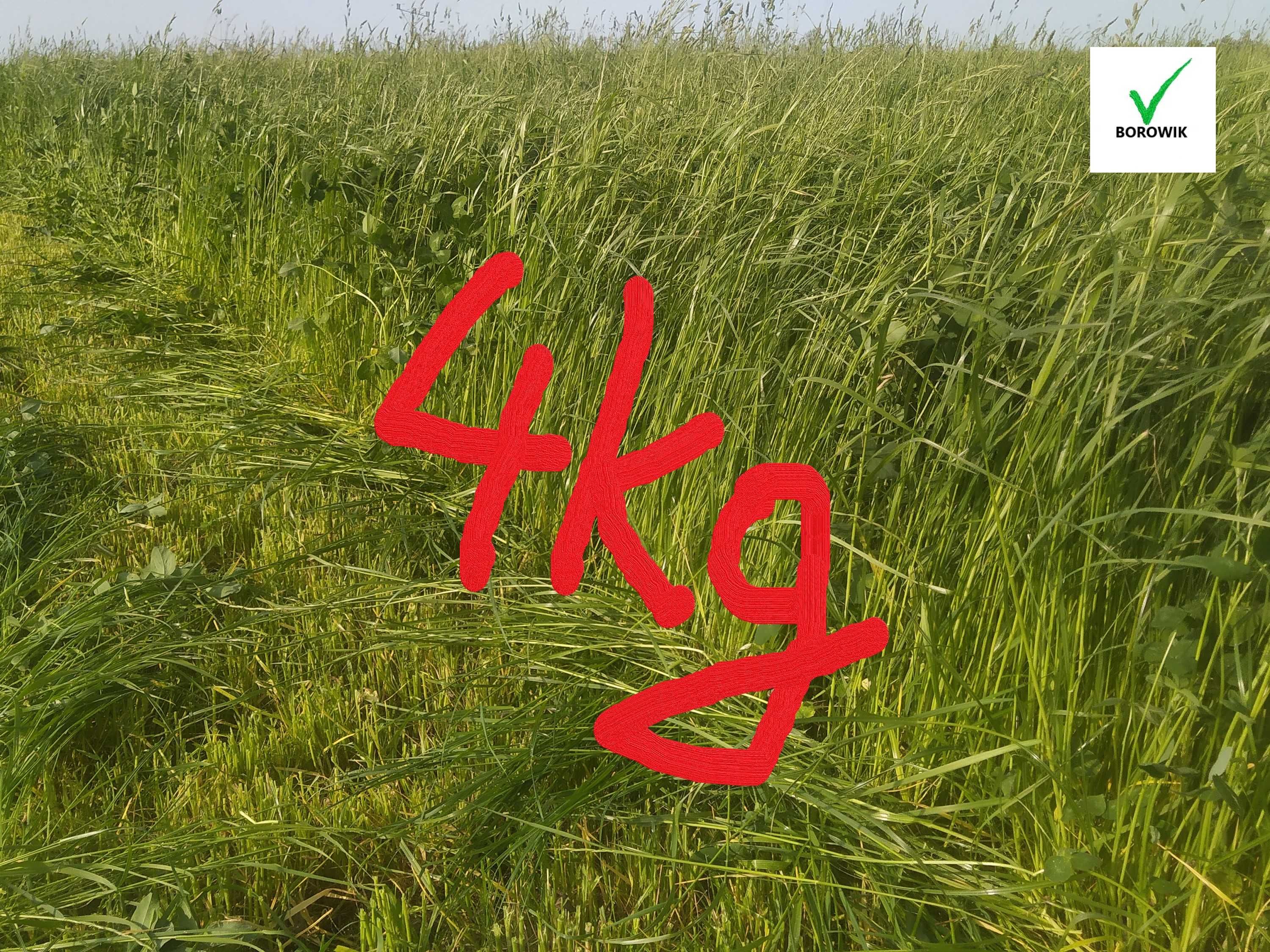 4kg Sianko, Siano dla gryzoni, królika, super jakość, szybka wysyłka