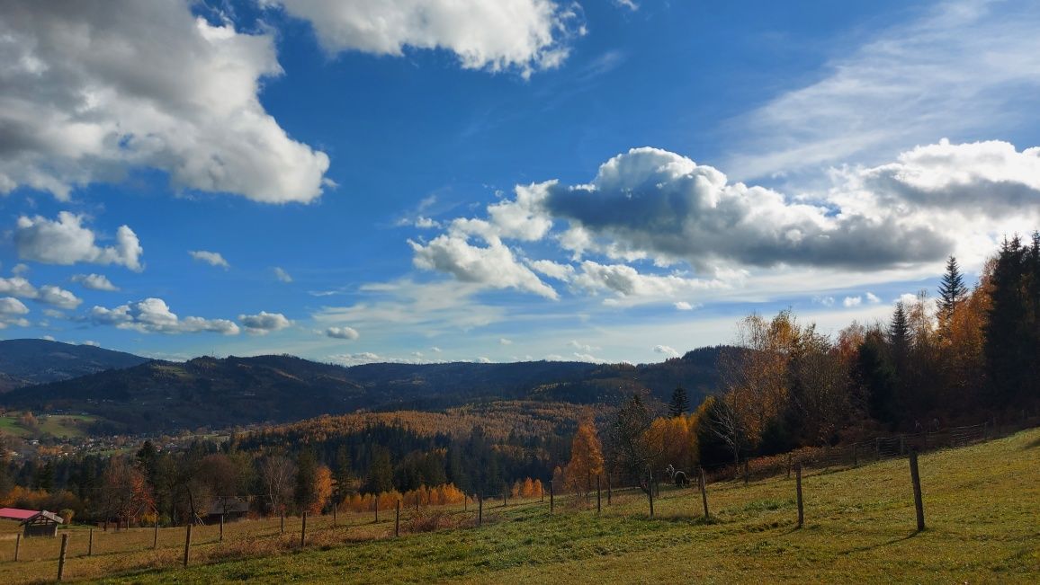 Domek nad Rzeką Wisłą w Ustroniu z Balią Ogrodową ( Jakuzi)[ Kominek ]